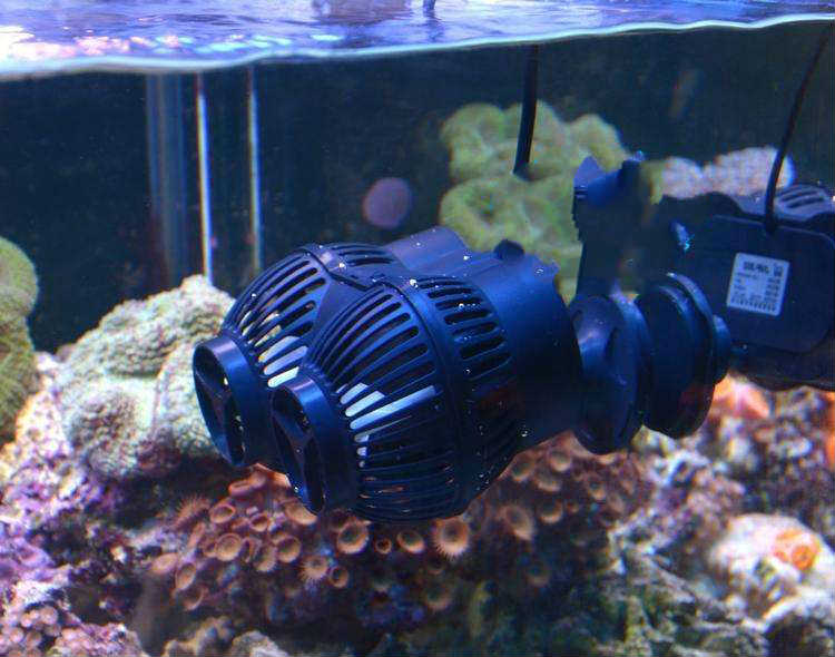 造浪泵应当选用哪种机电